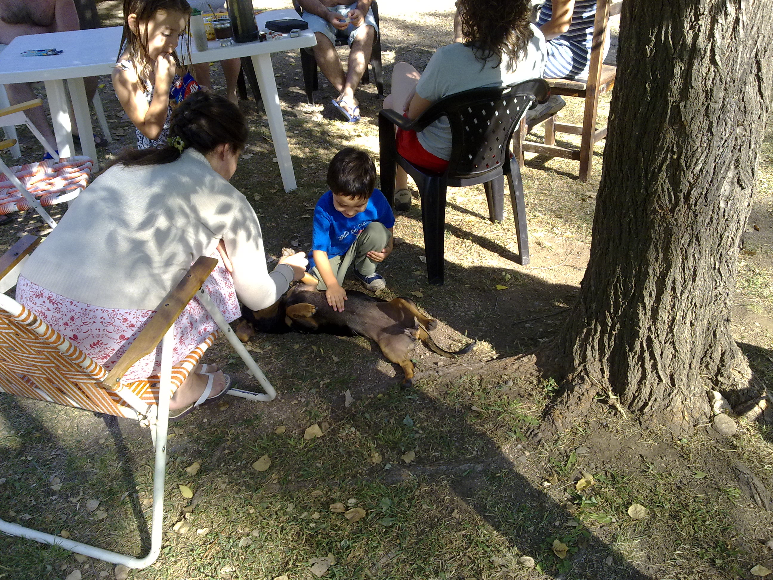 fotos/2011-01-23 - Los reartes/28012010107.jpg